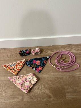 Dog Leash and Bandana Set